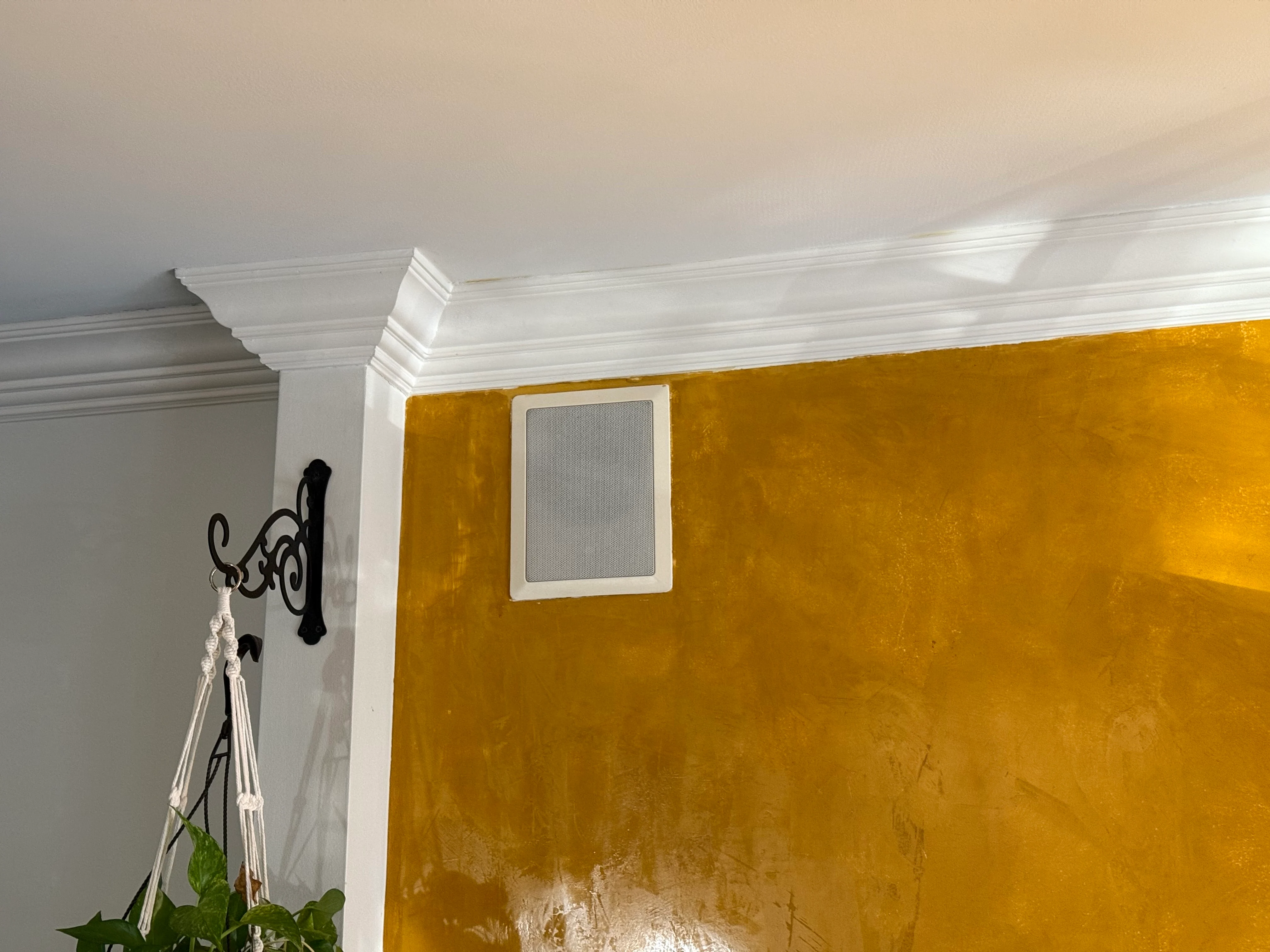 In-ceiling speaker system installed by CITIALARM